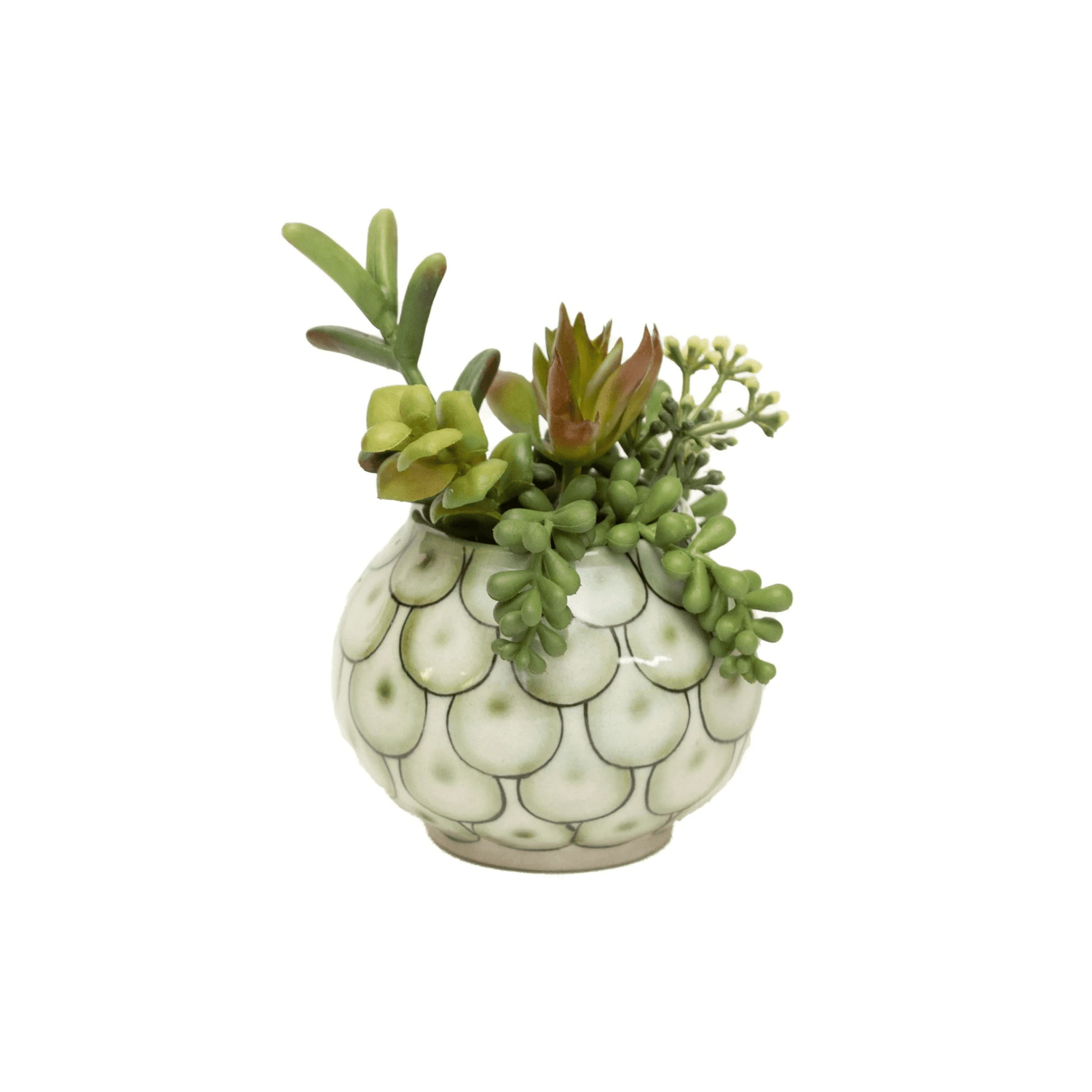 Ceramic Guatemalan Bowl Planter - Saltbox Sash