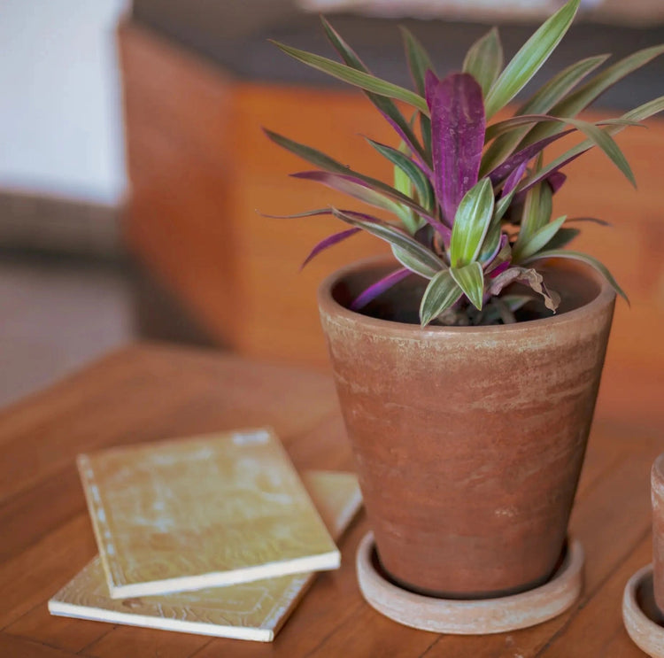 Concrete Washed Terracotta Planter - Saltbox Sash