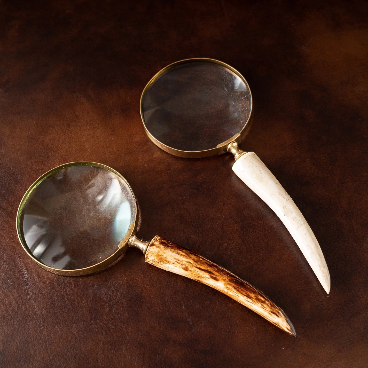 Horn Handle Magnifying Glass - Large - Saltbox Sash