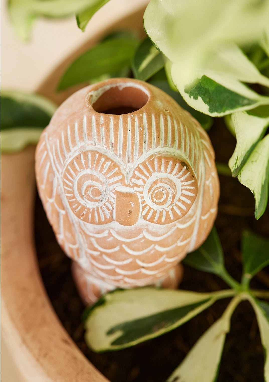 Terracotta Owl Plant Watering Spike - Saltbox Sash